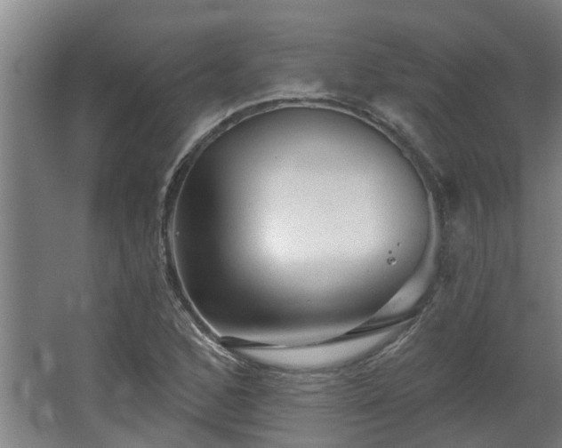 X0000068271168200604281544