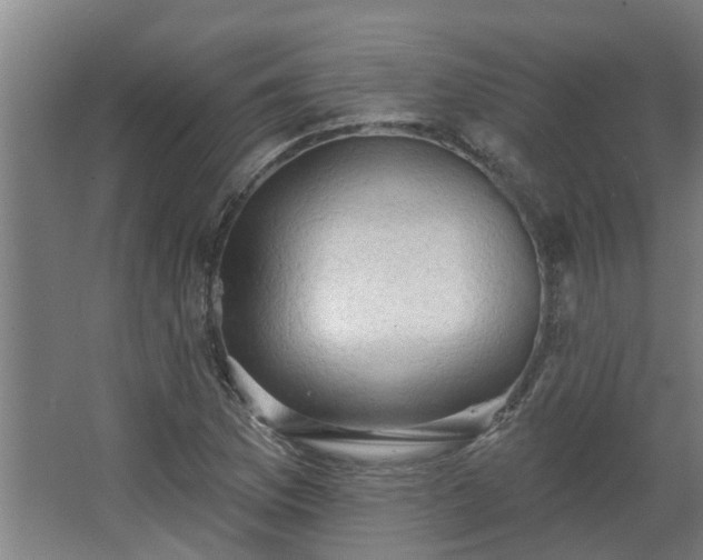 X0000068271169200604281544