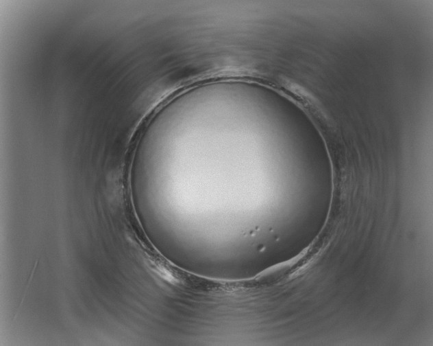 X0000068271170200604281544