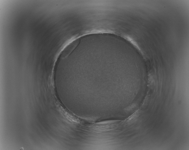 X0000068271173200604281544