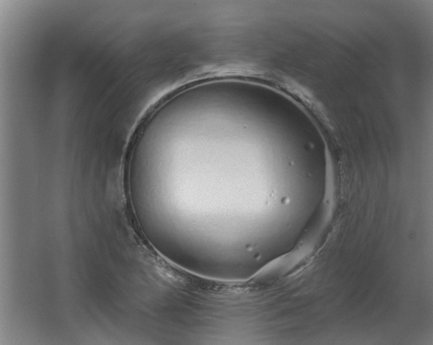 X0000068271174200604281544