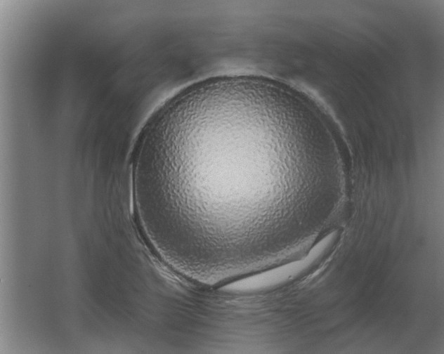 X0000068271175200604281544