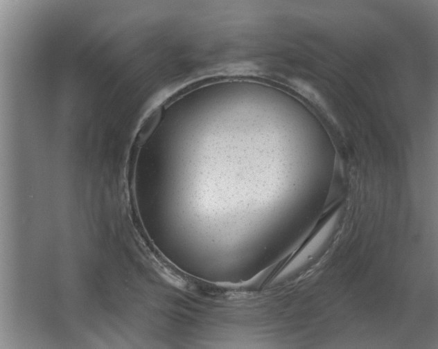 X0000068271176200604281544