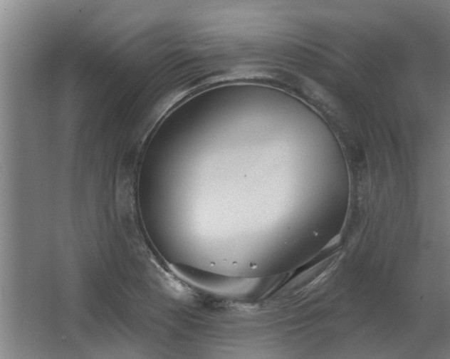 X0000068271177200604281544