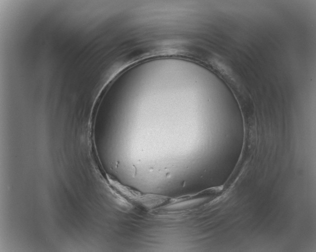 X0000068271178200604281544