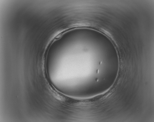 X0000068271179200604281544