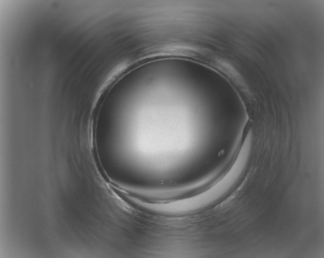 X0000068271180200604281544