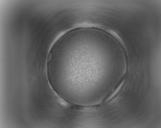 X0000068271183200604281544