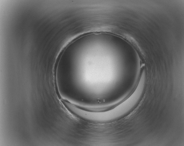 X0000068271184200604281543