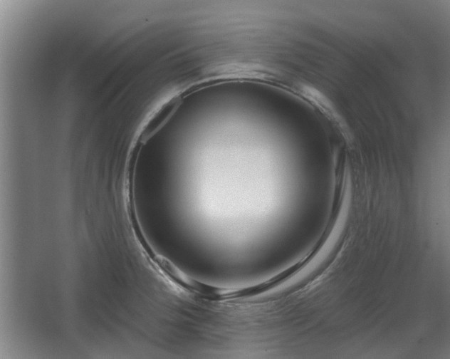 X0000068271188200604281543