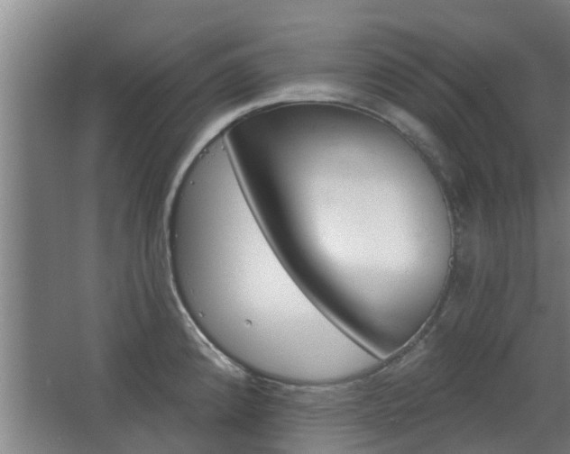 X0000068271192200604281543