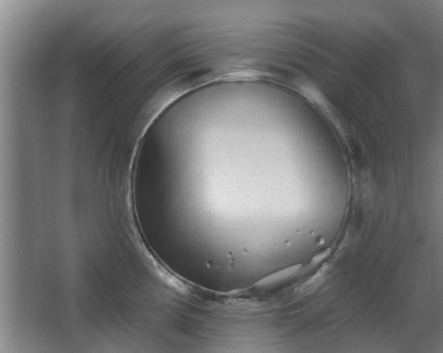 X0000068271194200604281543