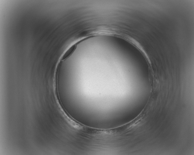 X0000068271195200604281543