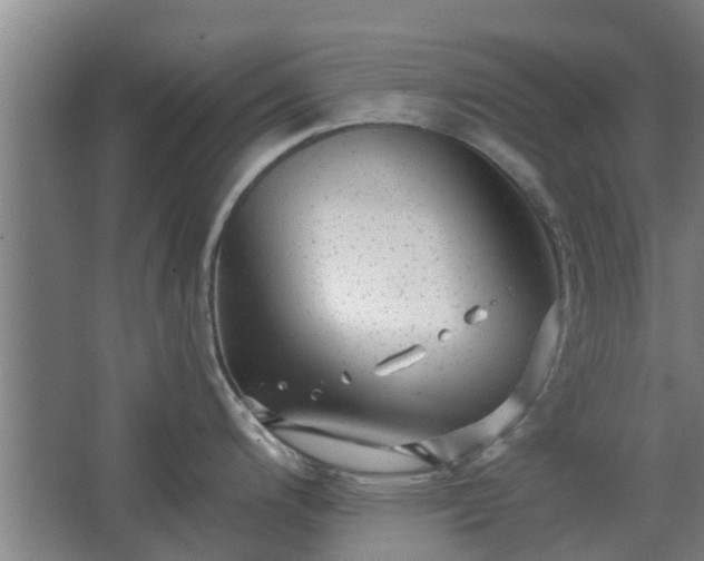 X0000068271200200604281543