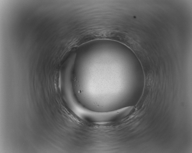 X0000068271202200604281542