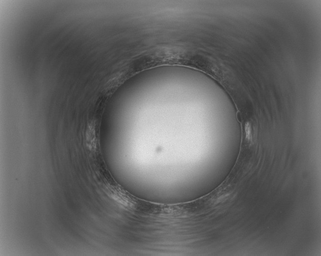 X0000068271203200604281542