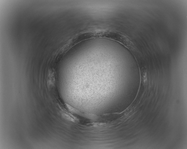 X0000068271204200604281542