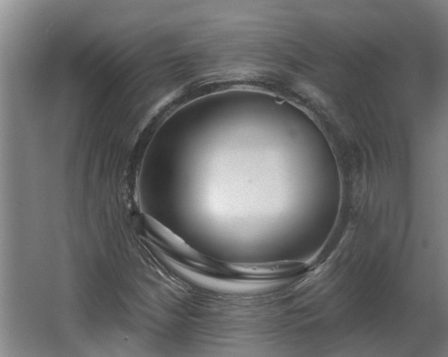 X0000068271210200604281543