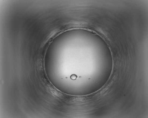 X0000068271211200604281543