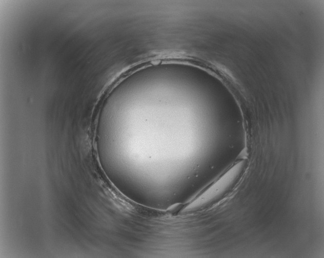 X0000068271212200604281543