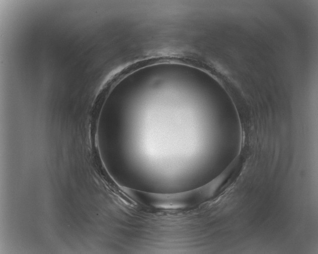 X0000068271214200604281543