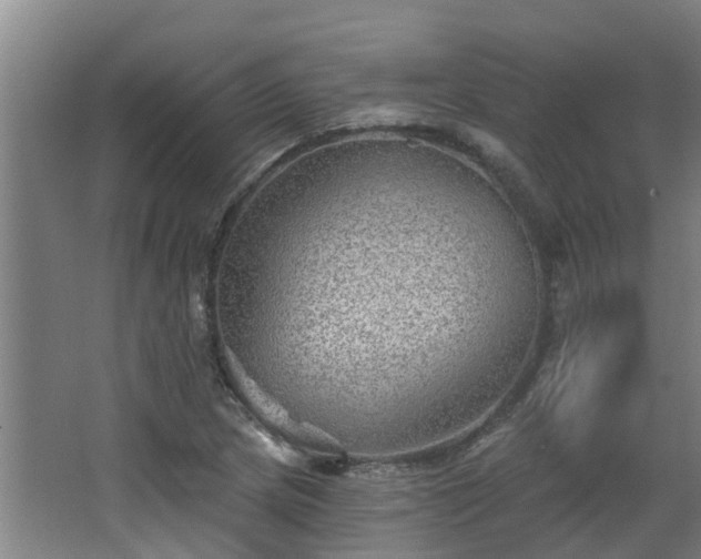 X0000068271217200604281543