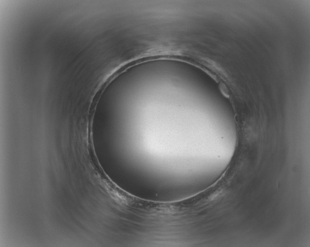 X0000068271220200604281543