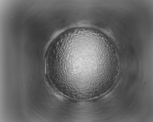 X0000068271223200604281543