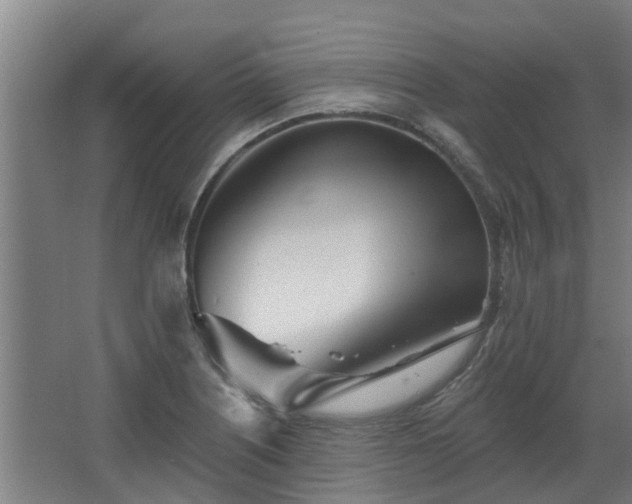 X0000068271226200604281543