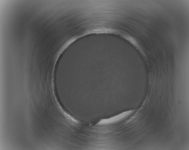 X0000068271229200604281543