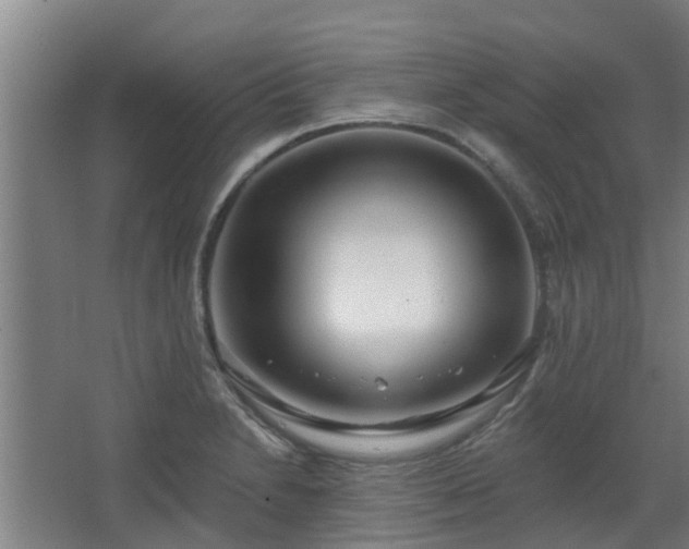 X0000068271230200604281543