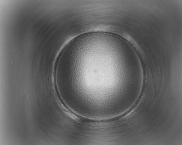 X0000068271232200604281543