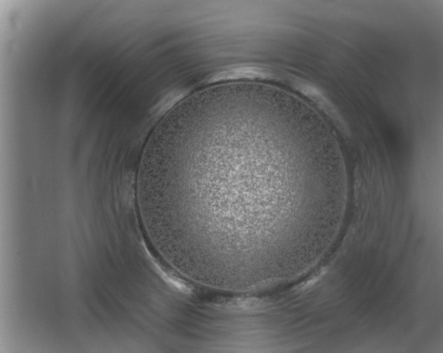 X0000068271233200604281543