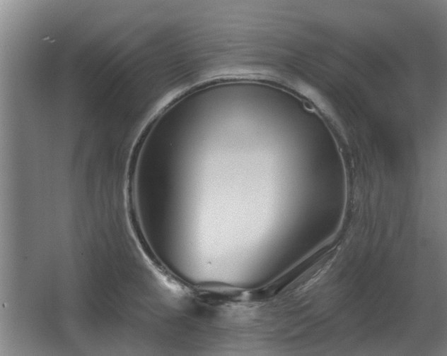 X0000068271237200604281543