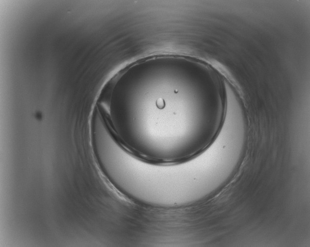 X0000068271238200604281543