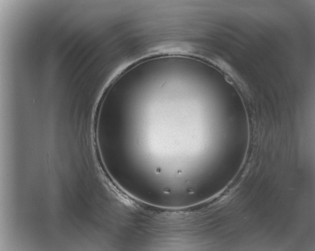 X0000068271240200604281543