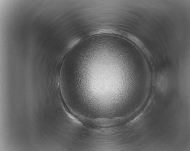 X0000068271241200604281543