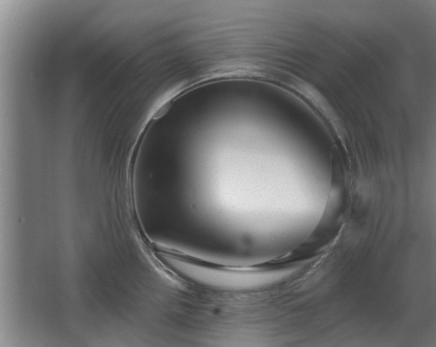 X0000068271242200604281543