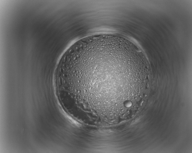 X0000068271243200604281543