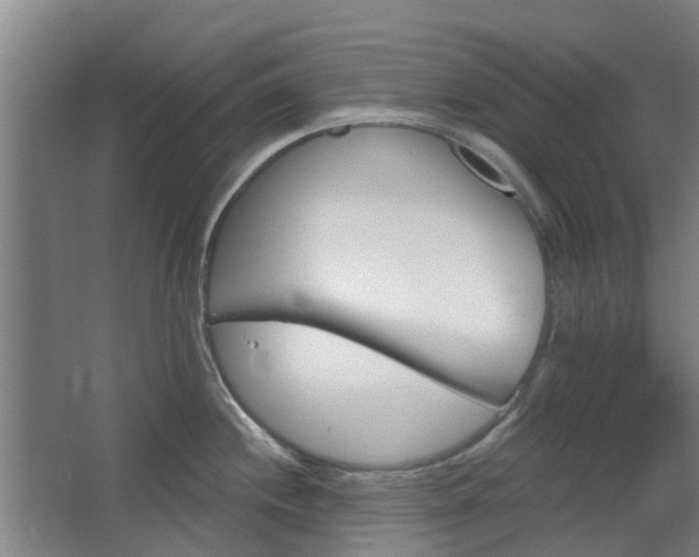 X0000068271244200604281543