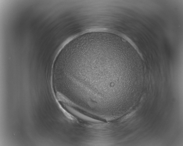 X0000068271245200604281543