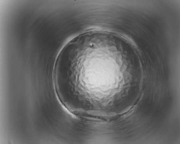 X0000068271247200604281543