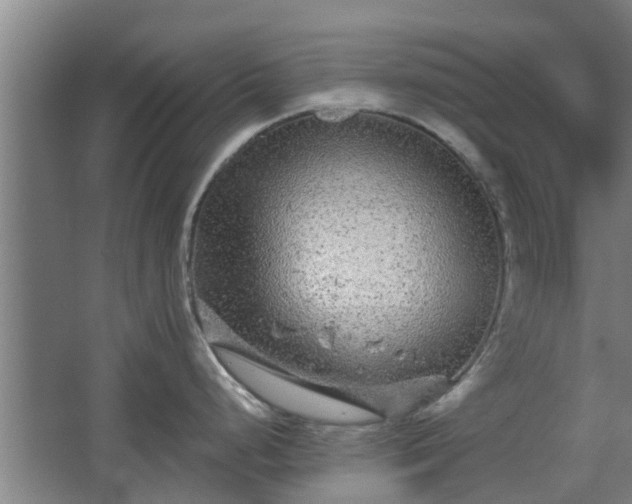 X0000068271248200604281543