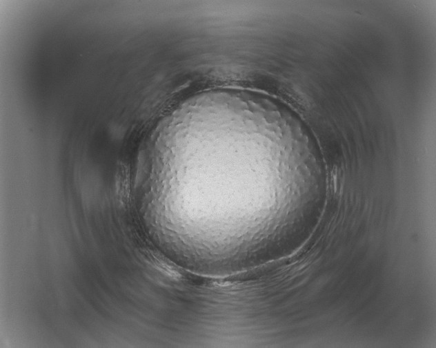 X0000068271251200604281542