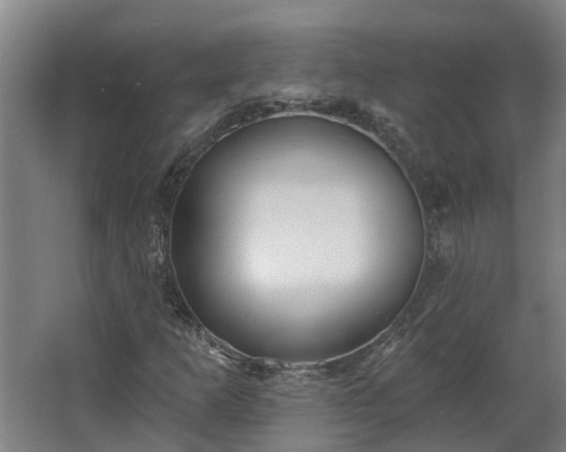 X0000068271253200604281542