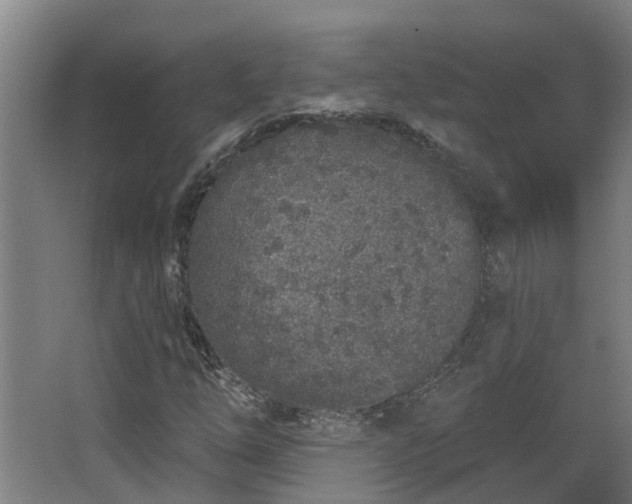 X0000068271254200604281542