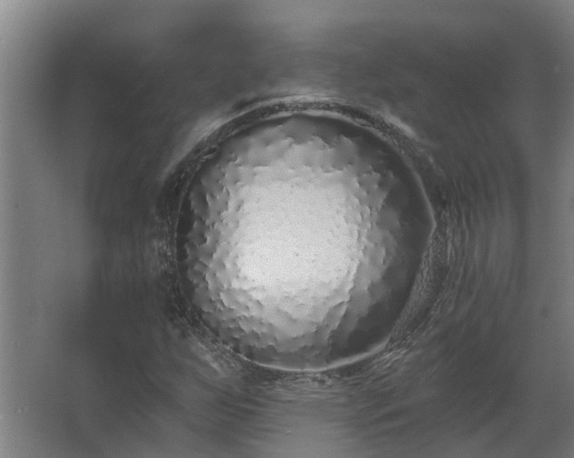 X0000068271255200604281542