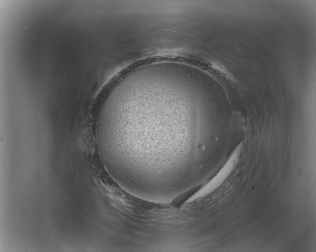 X0000068271256200604281542