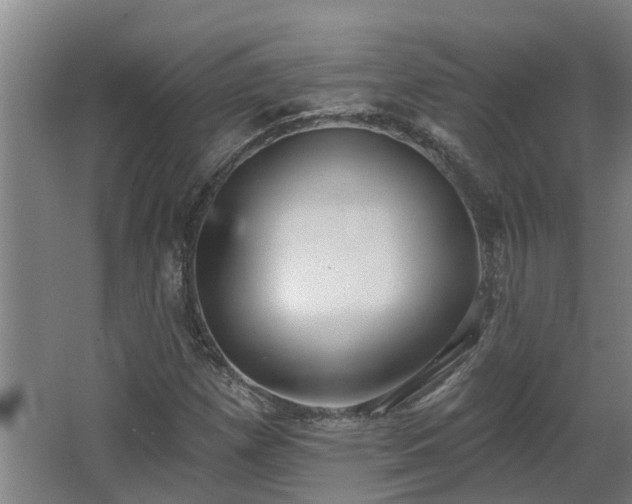 X0000068271257200604281542