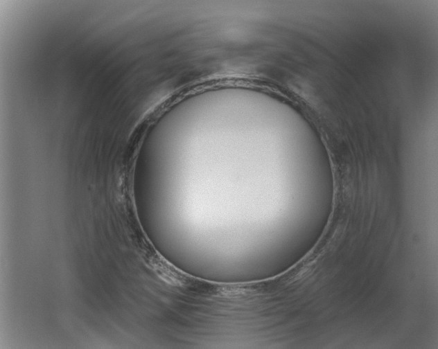 X0000068271258200604281542